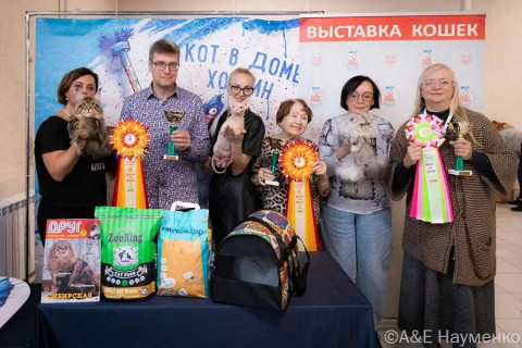 Международная выставка кошек